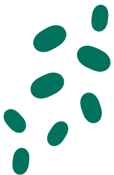 Free_Australia_Map_Graphic_Vector
